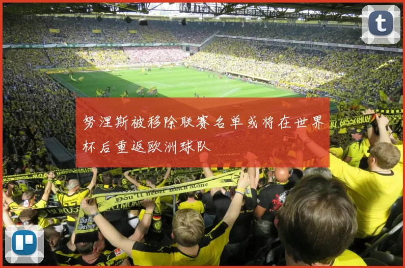 努涅斯被移除联赛名单或将在世界杯后重返欧洲球队