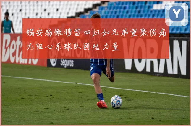 锡安感慨穆雷回归如兄弟重聚伤痛无阻心系球队团结力量